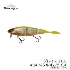 ガラパゴス　グレイス210L #24 メタルオムライス