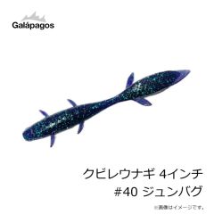 ガラパゴス　クビレウナギ 4インチ #39 チェリーシード