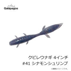 ガラパゴス　クビレウナギ 4インチ #39 チェリーシード