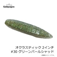 ガラパゴス　クビレウナギ 4インチ #39 チェリーシード