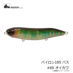 ハイドアップ　パイロン185 バス #69 オイカワ