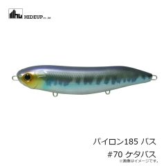 ハイドアップ　パイロン185 バス #70 ケタバス