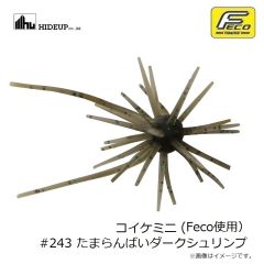 ハイドアップ　コイケミニ #243 たまらんばいダークシュリンプ