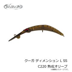 ヴァルケイン　クーガ ディメンション L SS C220 熟成オリーブ