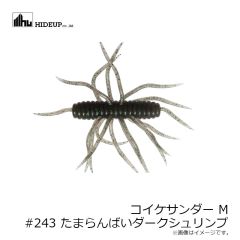 ハイドアップ　コイケサンダー M #243 たまらんばいダークシュリンプ