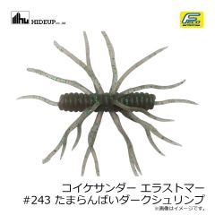 ハイドアップ　コイケサンダー エラストマー #243 たまらんばいダークシュリンプ