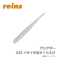 レイン　アジアダー G14 カブラアイシクルGS