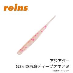 レイン　アジアダー G14 カブラアイシクルGS