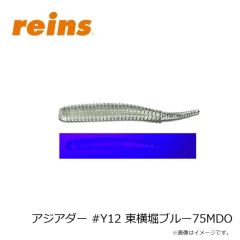 レイン　アジアダー #Y12 東横堀ブルー75MDO