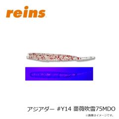 レイン　アジアダー #Y12 東横堀ブルー75MDO