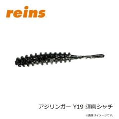 レイン　アジリンガー Y19 須磨シャチ