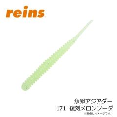 レイン　魚卵アジアダー 171 復刻メロンソーダ