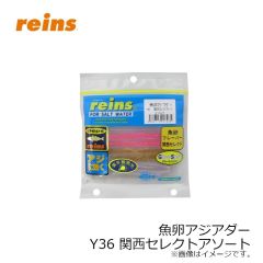 レイン　魚卵アジアダー Y36 関西セレクトアソート
