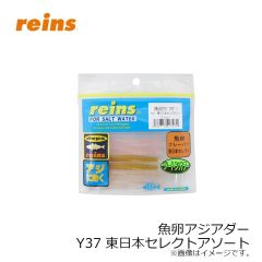 レイン　魚卵アジアダー Y37 東日本セレクトアソート