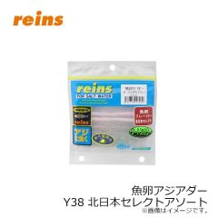 レイン　魚卵アジアダー Y38 北日本セレクトアソート