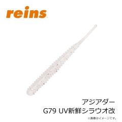 レイン　アジアダー G72 越前高級カニみそ