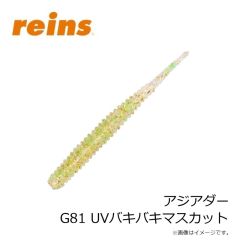 レイン　アジアダー G72 越前高級カニみそ