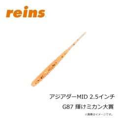 レイン　アジアダーMID 2.5インチ G87 輝けミカン大賞