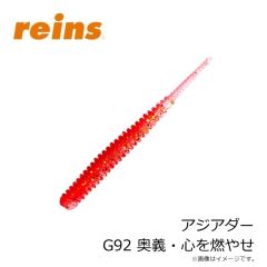 レイン　アジアダー G72 越前高級カニみそ