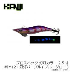 カンジインターナショナル　プロスペック 幻灯カラー 2.5寸  #IM12RT 幻灯パープル