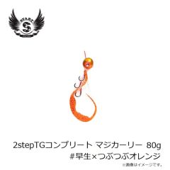 スタート　2stepTGコンプリート80g #早生×つぶつぶオレンジ