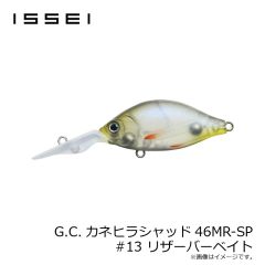 一誠　G.C.カネヒラシャッド46MR-SP #13 リザーバーベイト