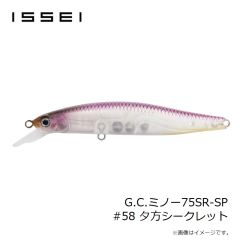 レイン　アジリンガー Y19 須磨シャチ
