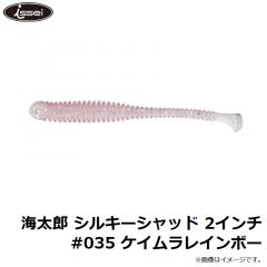 一誠   海太郎 シルキーシャッド 2インチ #035 ケイムラレインボー