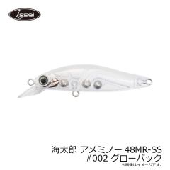 一誠　海太郎 アメミノー48MR-SS #002 グローバック
