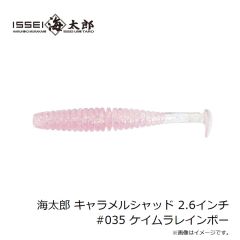 一誠　海太郎 キャラメルシャッド 2.6インチ #035 ケイムラレインボー