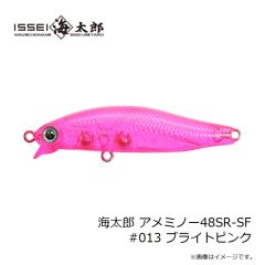 一誠　海太郎 アメミノー48SR-SF #013 ブライトピンク
