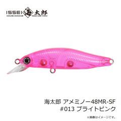 一誠　海太郎 アメミノー48MR-SF #013 ブライトピンク