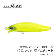 一誠　海太郎 アメミノー48MR-SS #012 ソリッドライムチャート