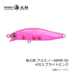 一誠　海太郎 アメミノー48MR-SS #013 ブライトピンク