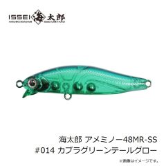 一誠　海太郎 アメミノー48MR-SS #014 カブラグリーンテールグロー