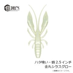 ルーディーズ　ハタ喰い・蝦 2.5インチ 金丸シラスグロー