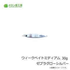 メロン屋工房　ウィークベイトSD 200g ホロイワシ