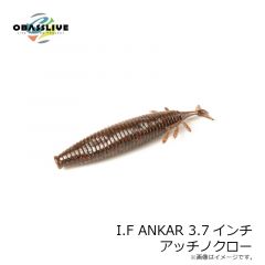 オーバスライブ　アイエフアンカー I.F ANKAR 3.7インチ　アッチノクロー