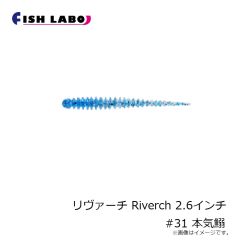 フィッシュラボ　ちびジャコバルタン CHIBI JYACO BALTAN 1.3インチ #17 イガイブラック