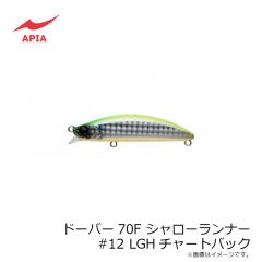 アピア　ドーバー70F SR #12 LGHチャートバック