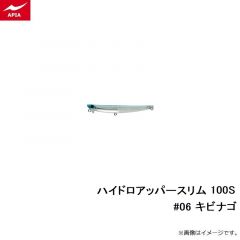 アピア　ハイドロアッパースリム100S #06 キビナゴ