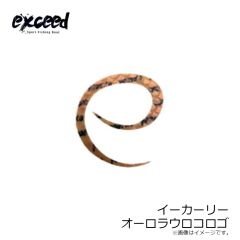 エクシード　イーカーリー #オーロラウロコロゴ