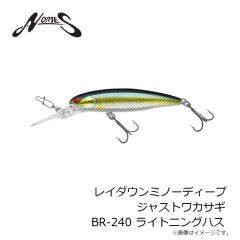 ノリーズ　レイダウンミノーディープ ジャストワカサギ BR-217 オーロラゴースト