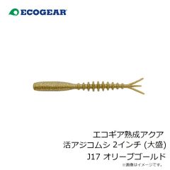 エコギア　エコギア熟成アクア 活アジコムシ 2インチ (大盛) J17 オリーブゴールド