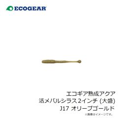 エコギア　エコギア熟成アクア 活メバルシラス 2インチ (大盛) J17 オリーブゴールド