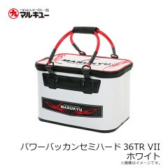マルキュー　ハゼほたて
