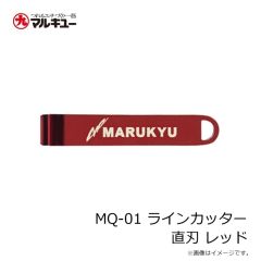 マルキュー　エギリー ダートマックス 3.5号 D39CP オレンジヘッド/パープルボーダークリスタルパープル