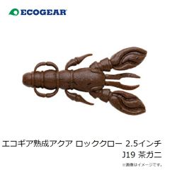 エコギア　エコギア熟成アクア ロッククロー 2.5インチ J19 茶ガニ