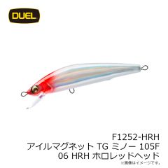 デュエル　F1252-HRH アイルマグネット TG ミノー 105F 105mm 06 HRH ホロレッドヘッド