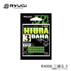 リューギ　R4006 三浦玉 3